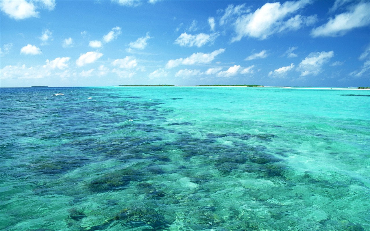 Beach scenery wallpapers (1) #6 - 1280x800