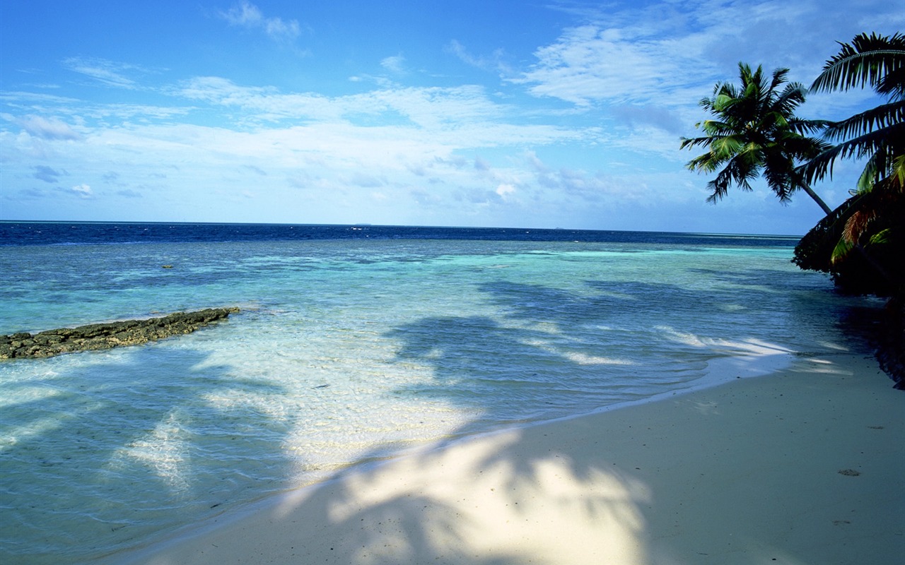 Beach scenery wallpapers (1) #11 - 1280x800