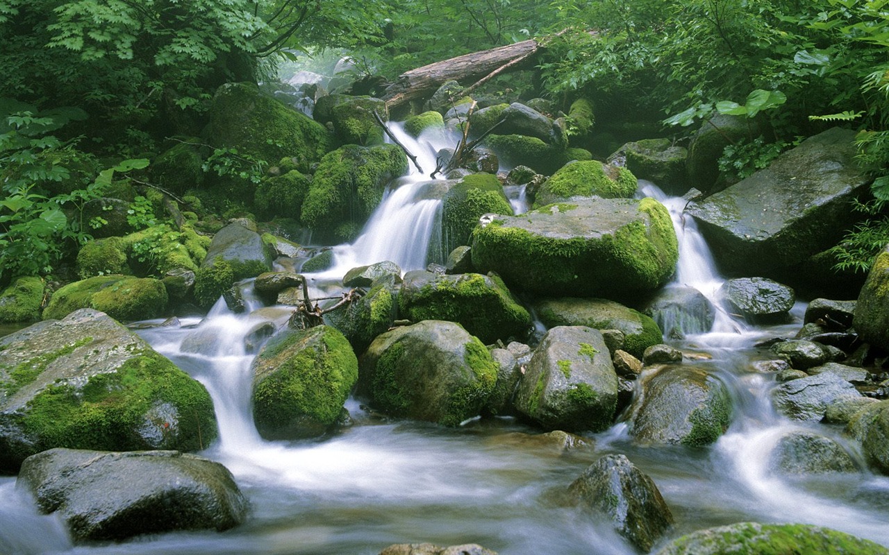 瀑布溪流 壁紙(八) #16 - 1280x800