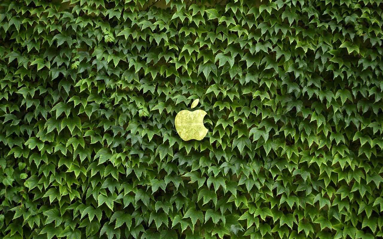 album Apple wallpaper thème (18) #17 - 1280x800