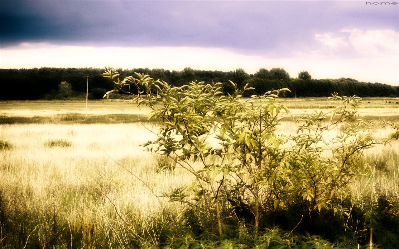 Non-tradiční obrazovce tapeta #39 - 1280x800