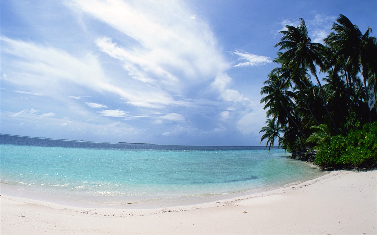 Beach Krajina tapety (2) #11 - 1280x800