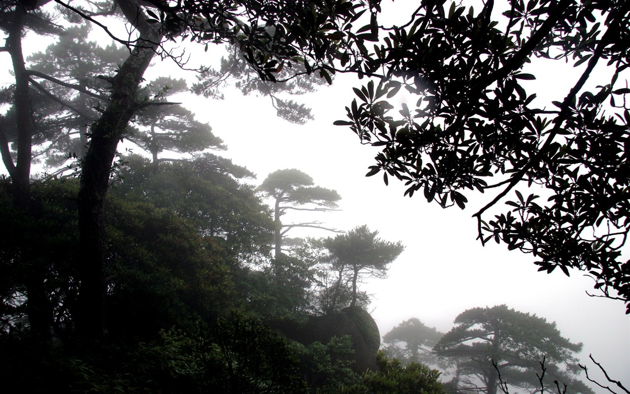 Landscape photography (9) (Li Shanquan works) #6 - 1280x800