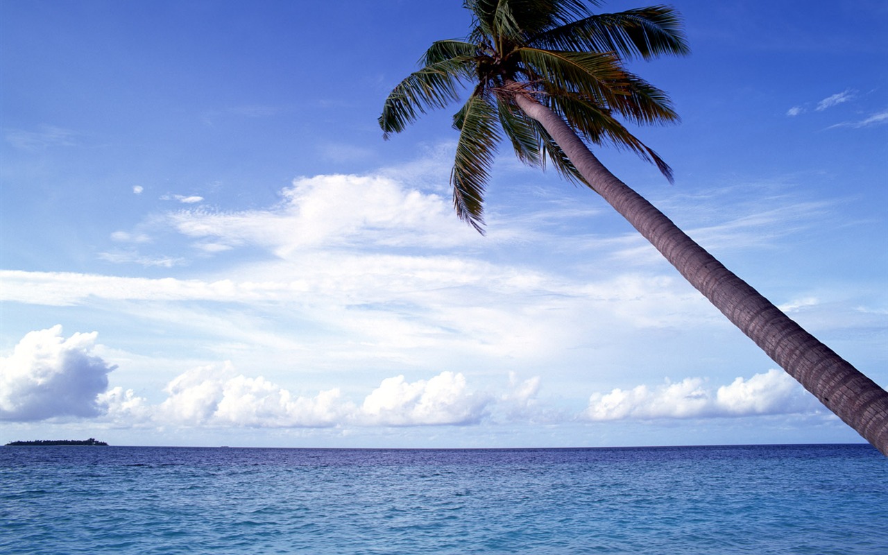 海濱風光 壁紙(三) #2 - 1280x800