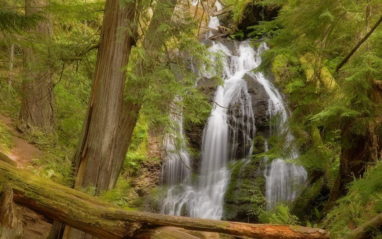 Waterfall streams wallpaper (10) #3 - 1280x800