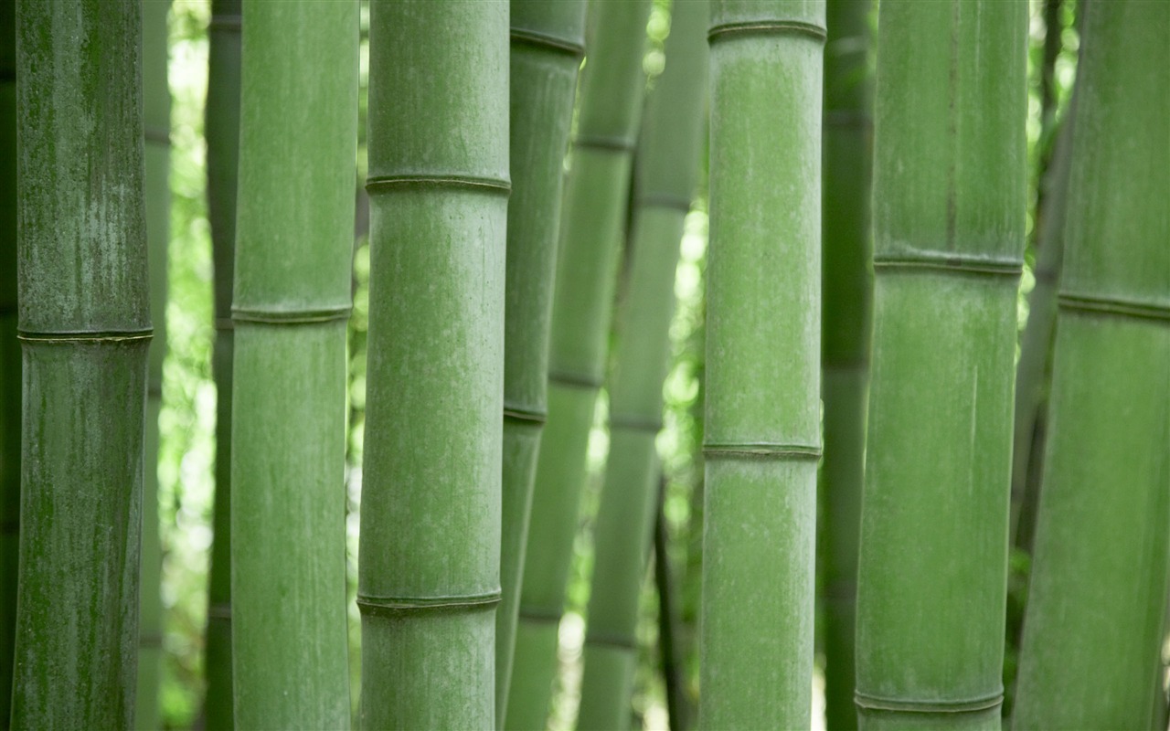 MAC OS X 系統 高清壁紙(一) #18 - 1280x800