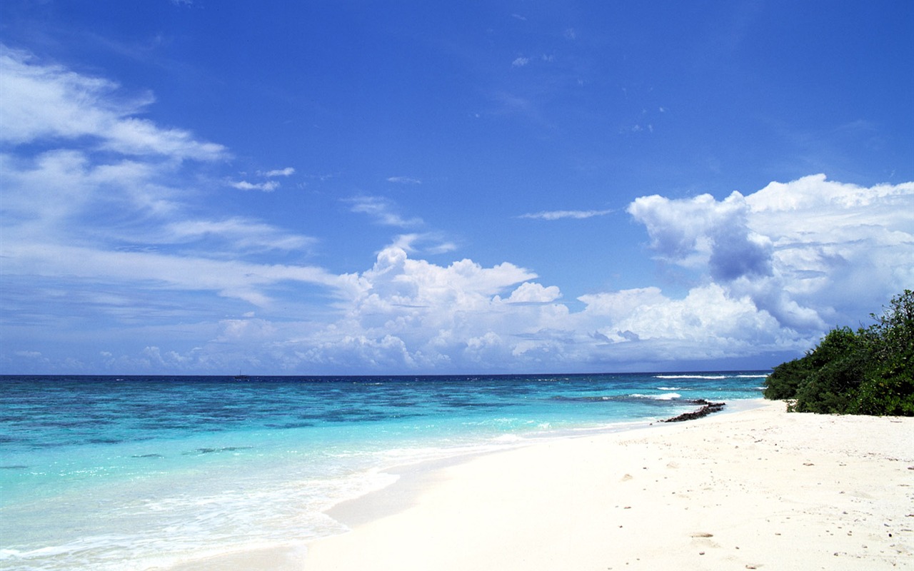 Beach scenery wallpapers (4) #18 - 1280x800