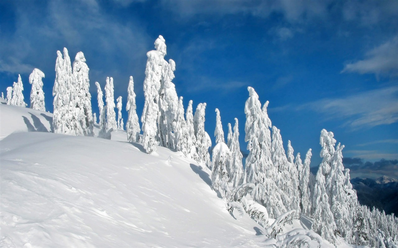 Fond d'écran panoramique de neige (1) #4 - 1280x800