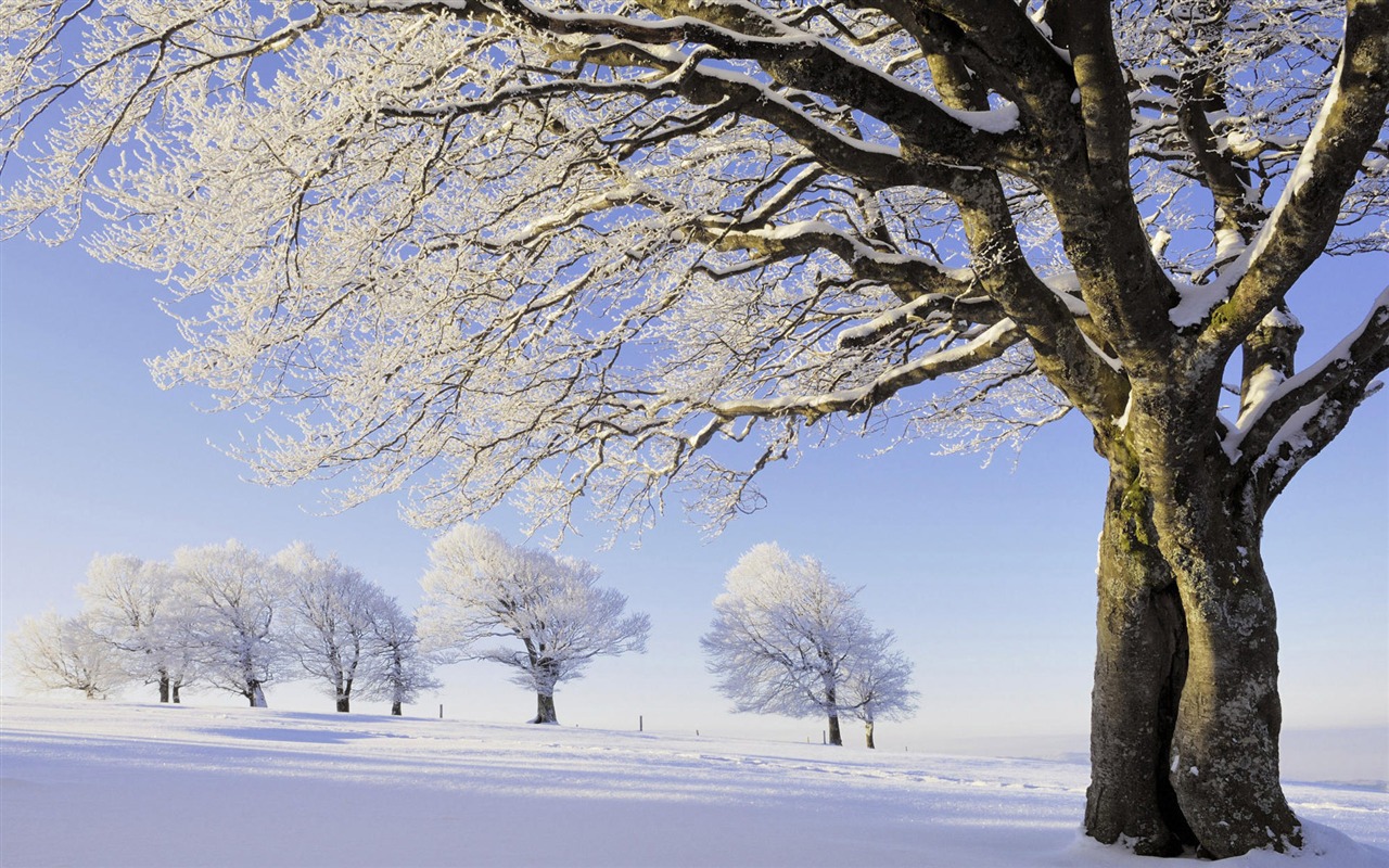 Fond d'écran panoramique de neige (1) #6 - 1280x800