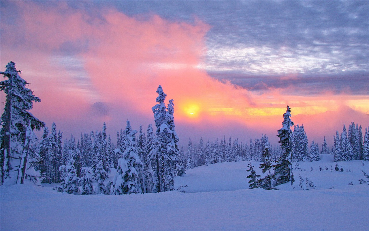 Fond d'écran panoramique de neige (1) #10 - 1280x800