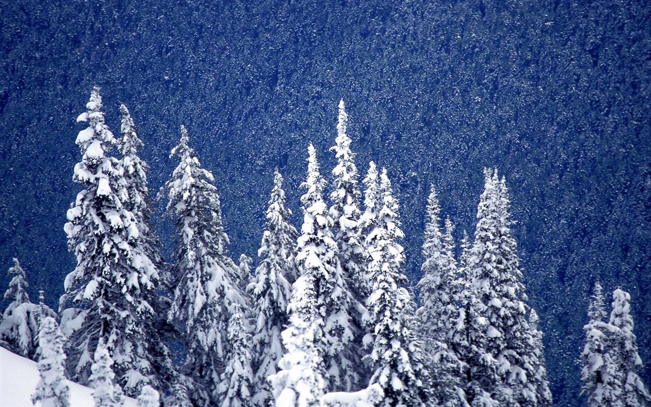 Fond d'écran panoramique de neige (1) #14 - 1280x800
