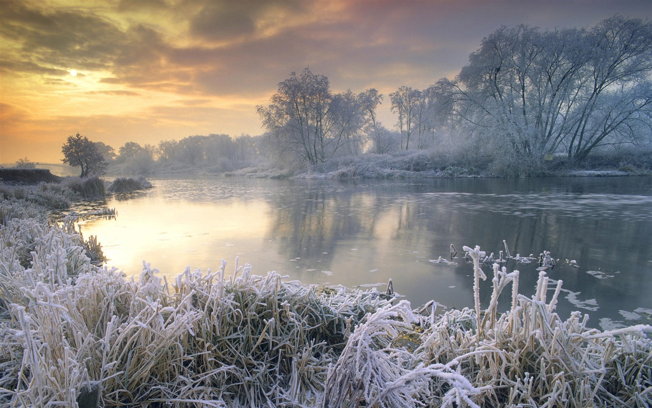 Sníh širokoúhlý tapety (1) #15 - 1280x800
