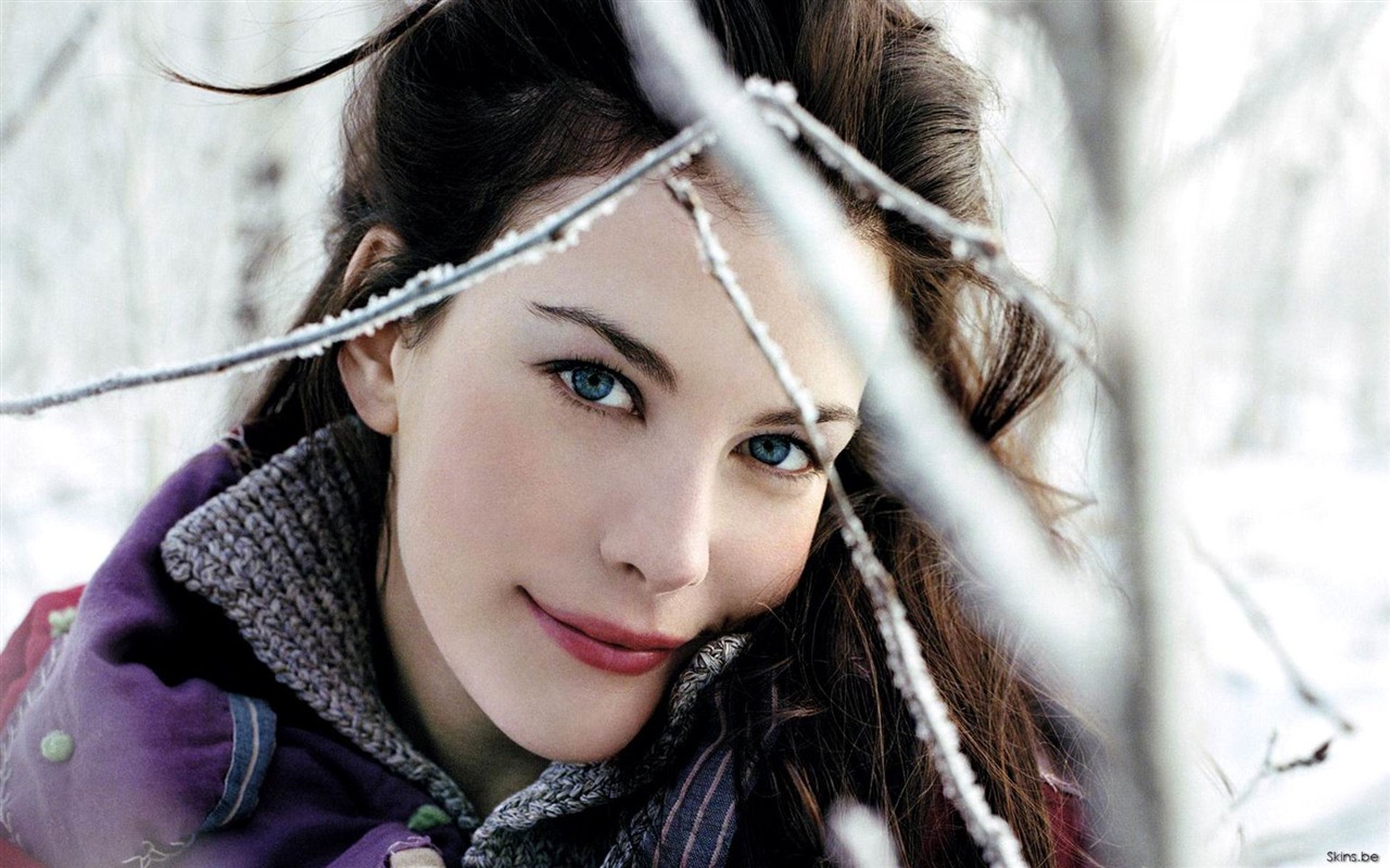 Liv Tyler 麗芙·泰勒 美女壁紙 #30 - 1280x800