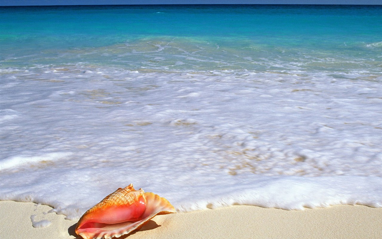 Beach scenery wallpapers (5) #15 - 1280x800