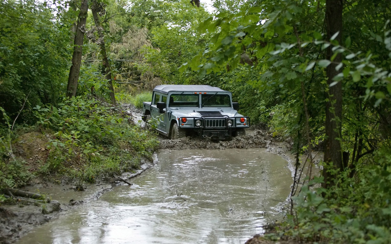 Hummer wallpaper album (5) #3 - 1280x800