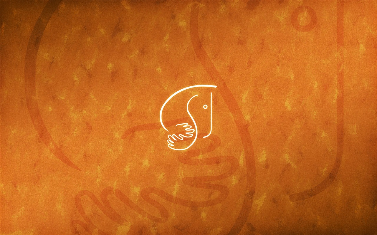 Vladstudio 壁紙專輯(十) #3 - 1280x800