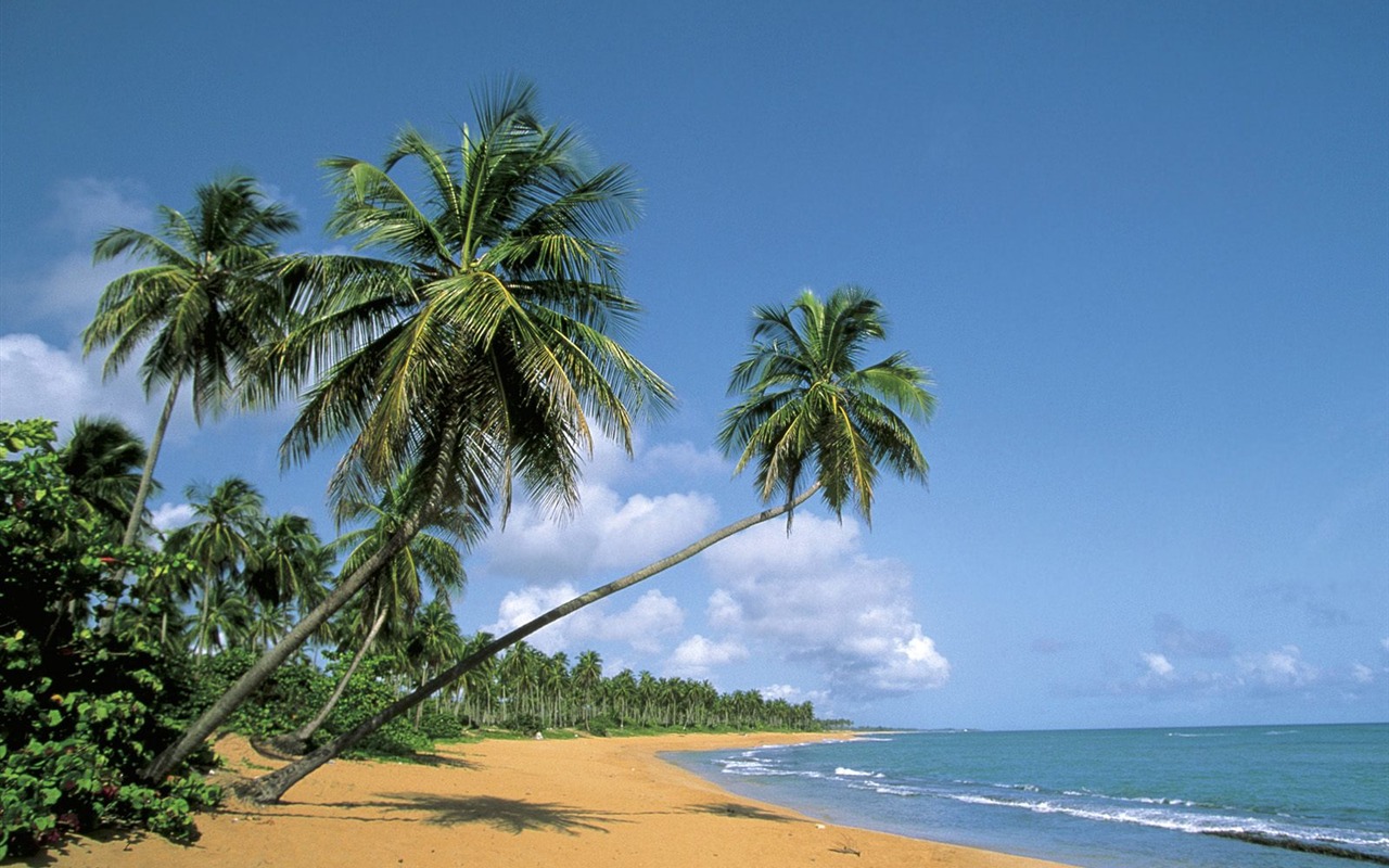 Fonds d'écran paysage de plage (7) #14 - 1280x800