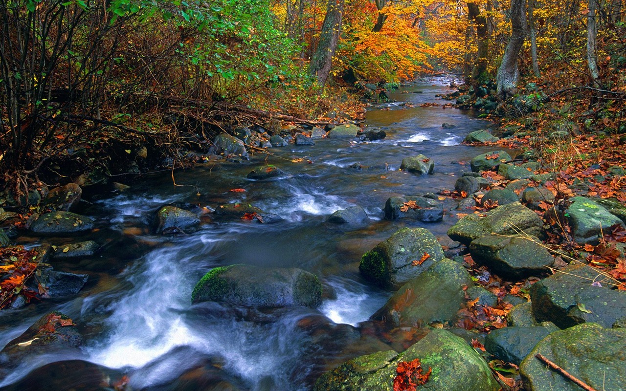 Scenery Collection Wallpapers (14) #10 - 1280x800