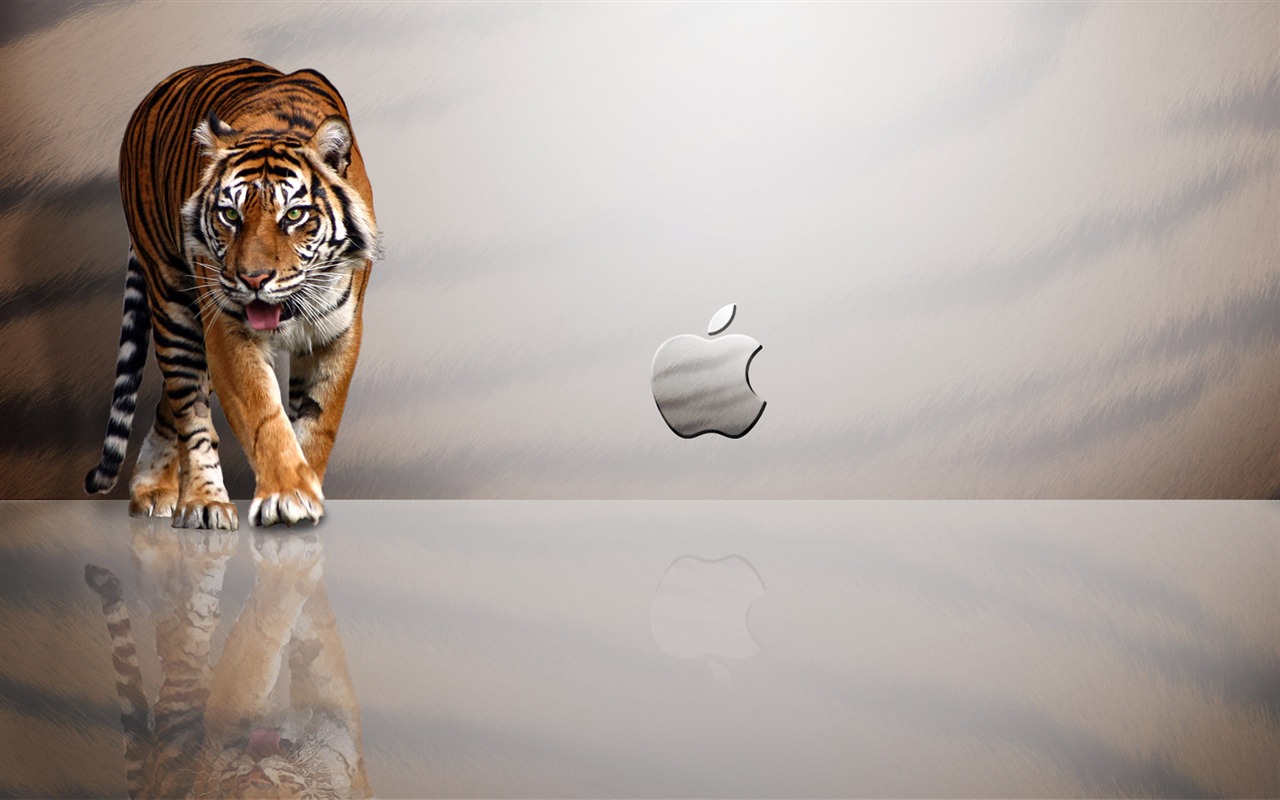 Apple téma wallpaper album (28) #8 - 1280x800