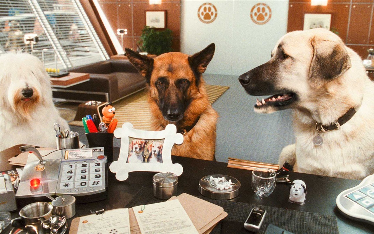 Cats and Dogs: The Revenge of Kitty Galore HD wallpaper #11 - 1280x800
