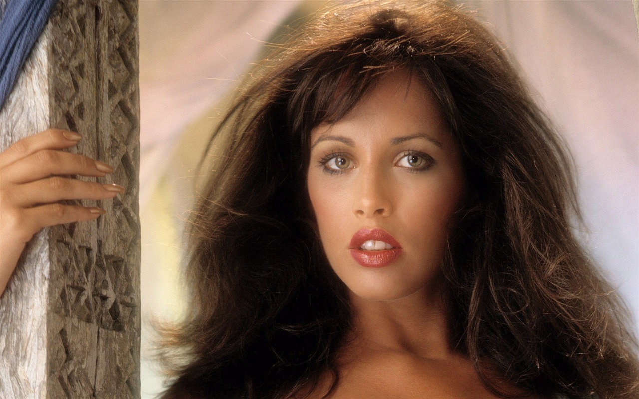 PlayBoy beautiful HD wallpaper (11) #8 - 1280x800