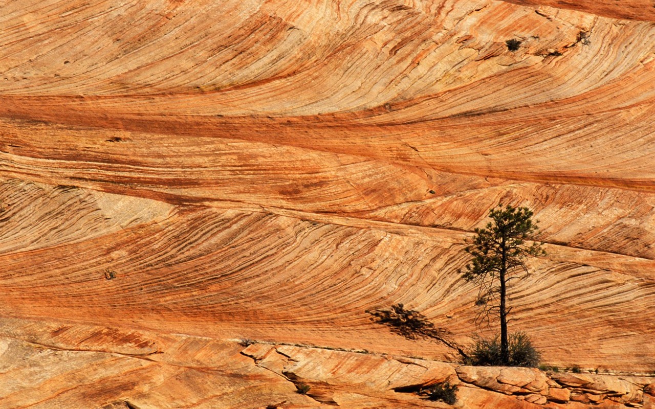 Red Rock Wallpaper Album #3 - 1280x800