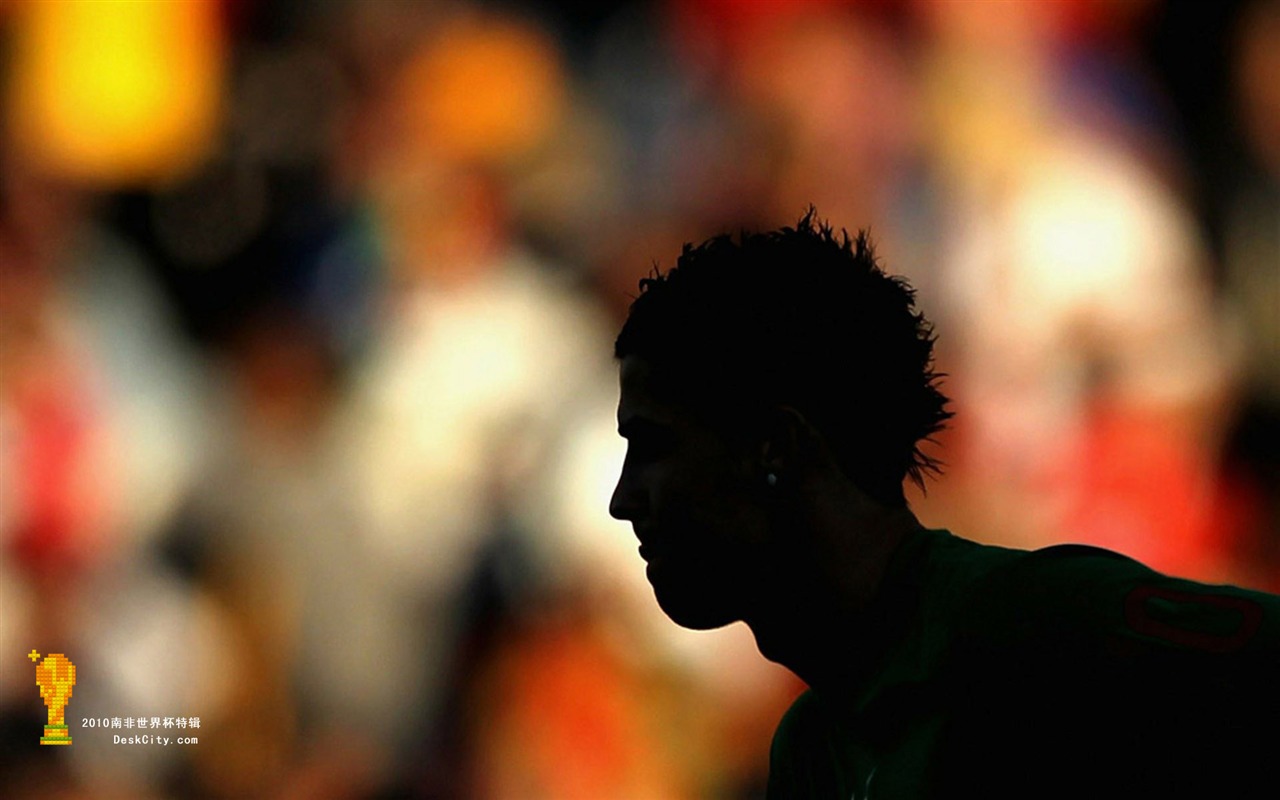 South Africa World Cup series wallpaper (1) #11 - 1280x800
