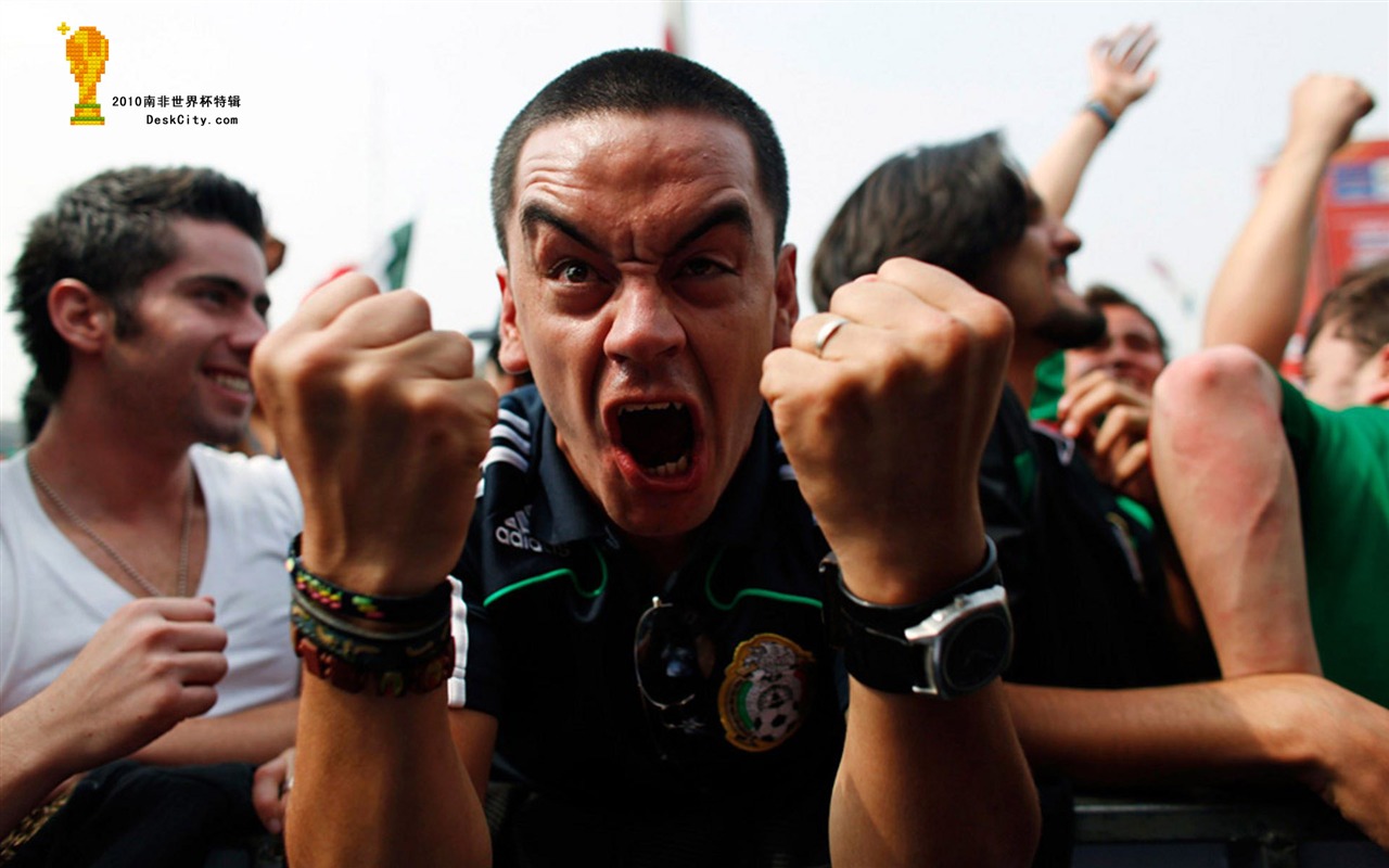 South Africa World Cup series wallpaper (3) #7 - 1280x800
