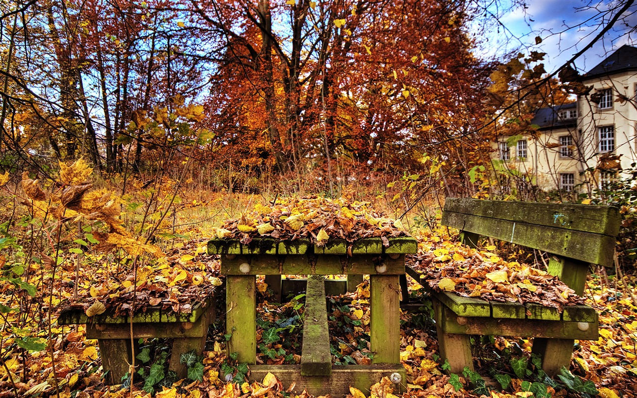Město zřícenina HD tapety #11 - 1280x800