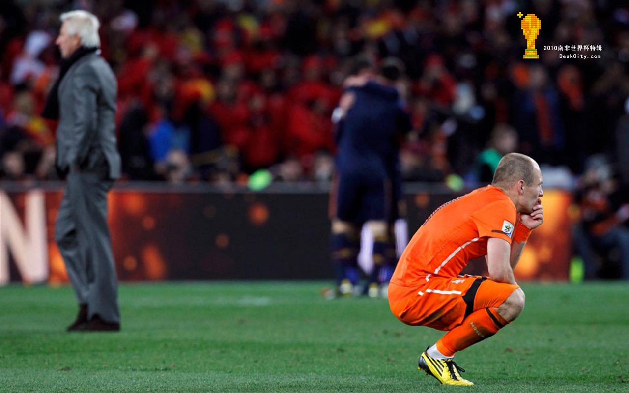 South Africa World Cup series wallpaper (5) #4 - 1280x800