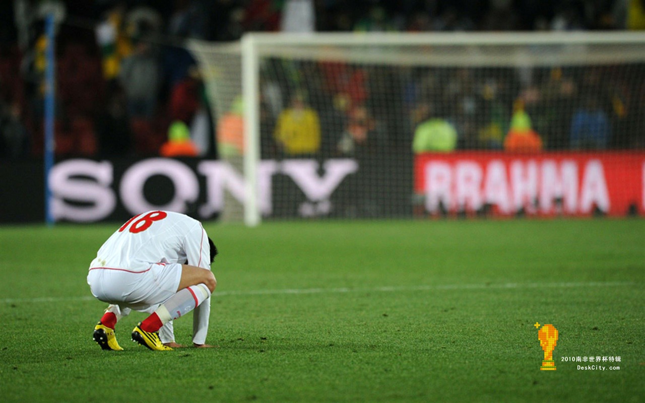 South Africa World Cup series wallpaper (5) #12 - 1280x800