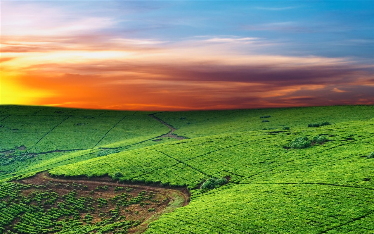 Scenery Collection Wallpapers (16) #18 - 1280x800