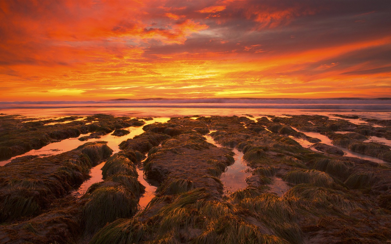Scenery Collection Wallpapers (17) #4 - 1280x800