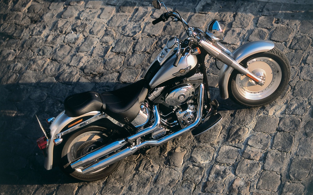 Harley-Davidson Wallpaper Album (2) #17 - 1280x800
