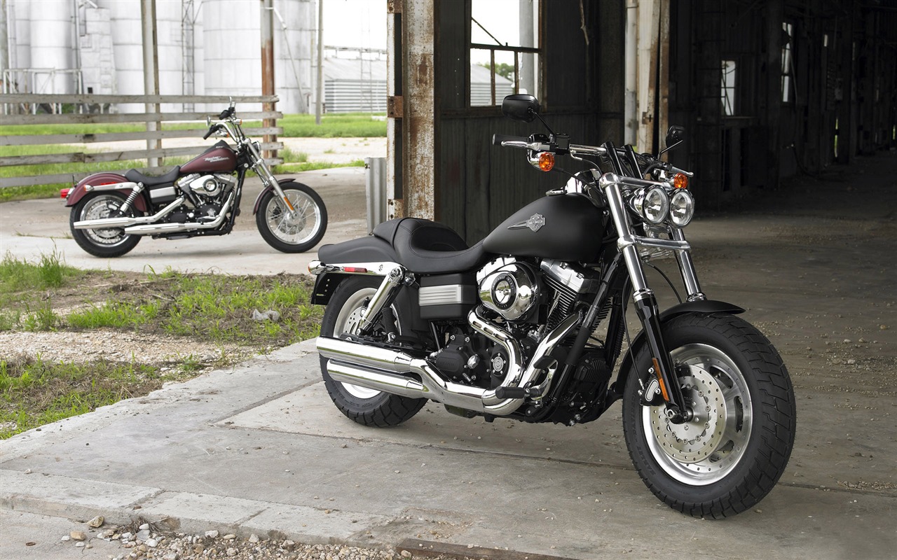 Harley-Davidson Wallpaper Album (2) #20 - 1280x800