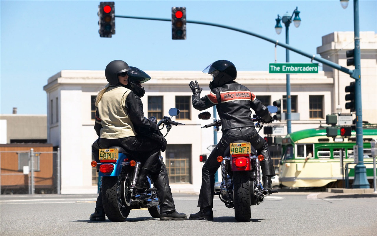 Harley-Davidson Wallpaper Album (3) #1 - 1280x800