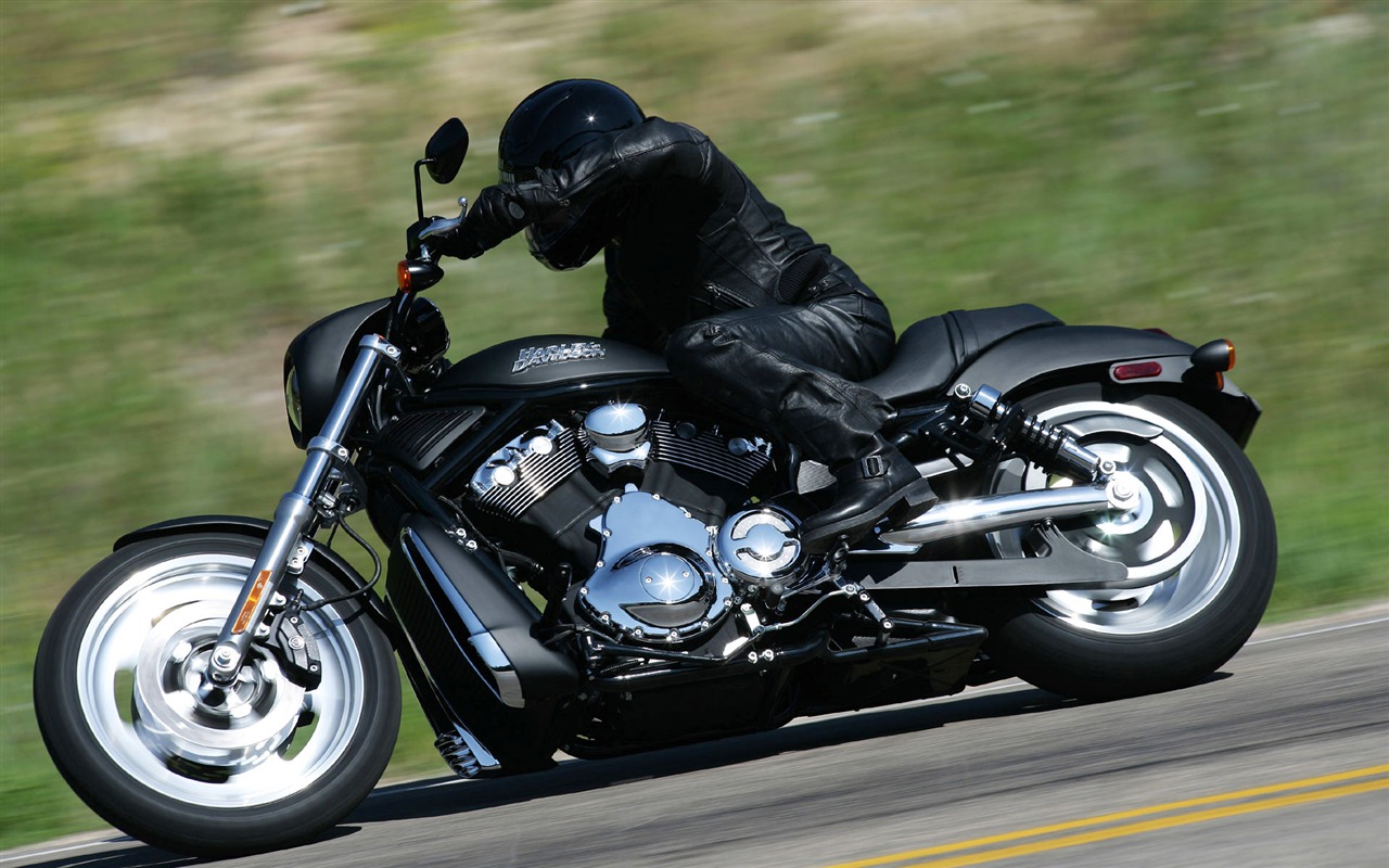 Harley-Davidson Wallpaper Album (3) #4 - 1280x800