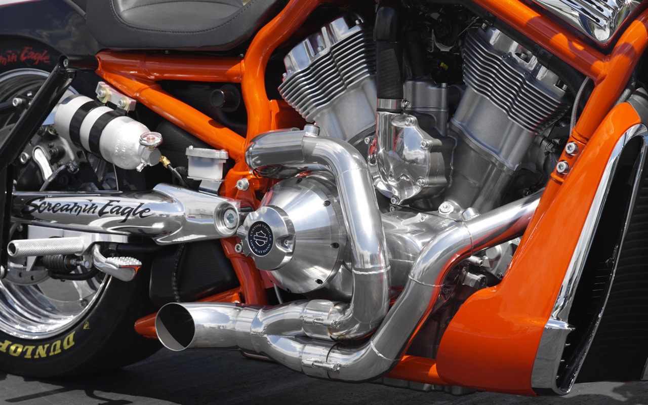 Harley-Davidson Wallpaper Album (3) #10 - 1280x800