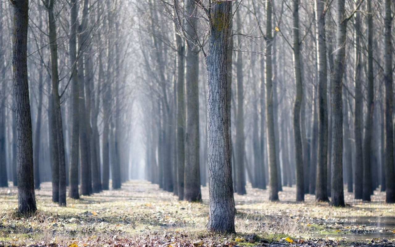 Tapeta Svět zeměpisných Krajina příspěvky (5) #2 - 1280x800