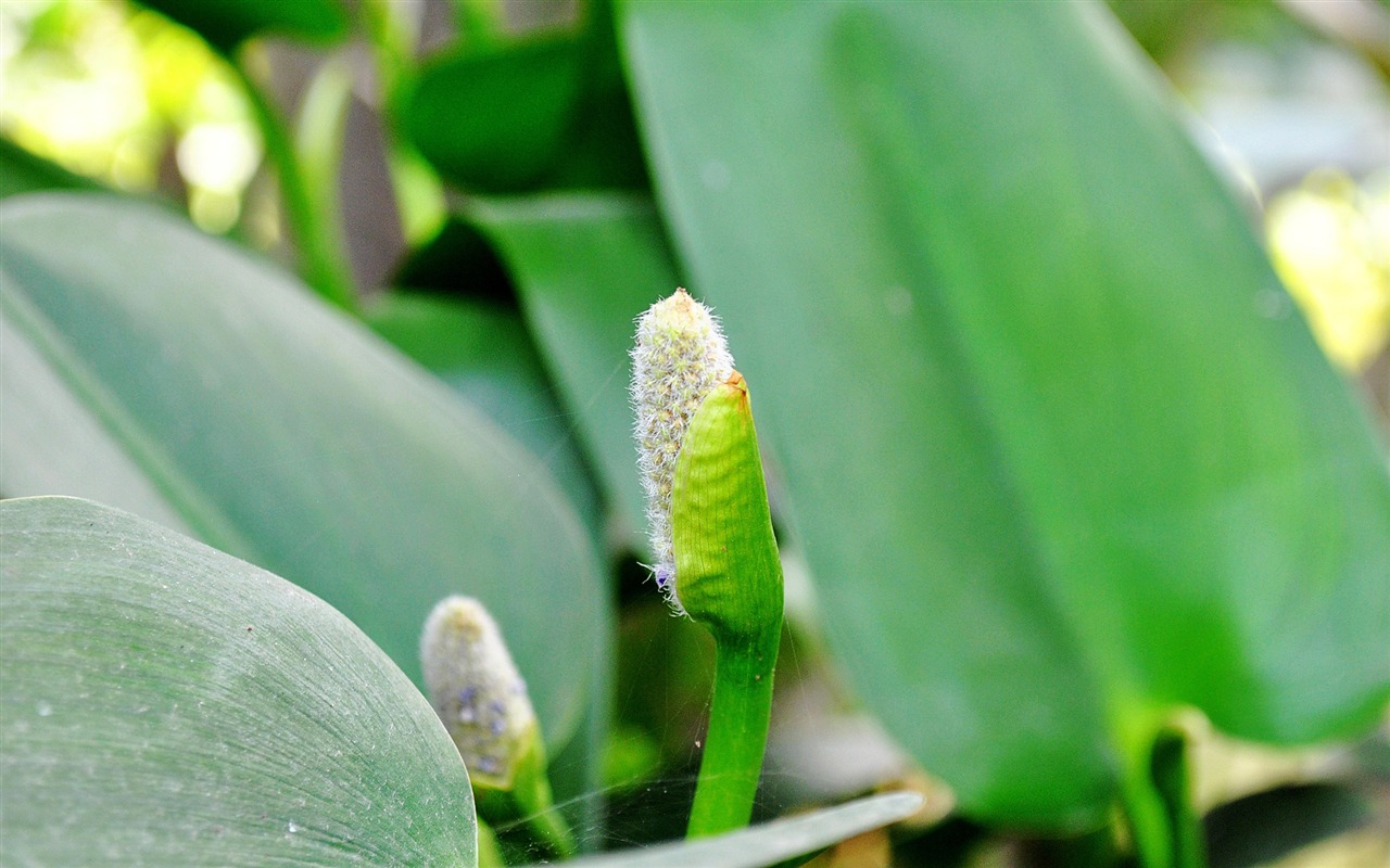 Landscape photography (2) (genzhukou works) #5 - 1280x800