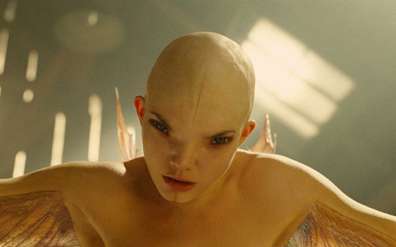 Splice HD wallpaper #13 - 1280x800