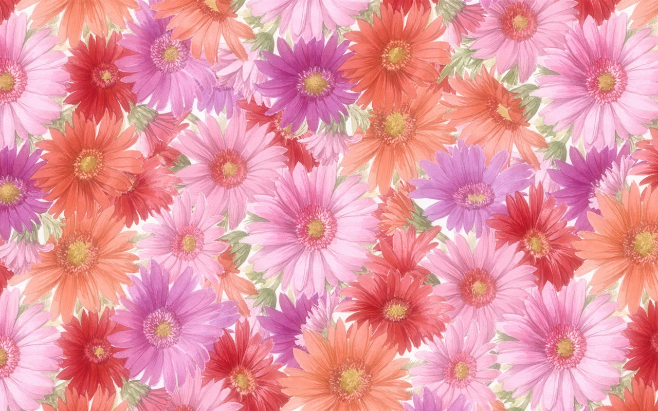 fleurs fond d'écran Widescreen close-up (13) #7 - 1280x800