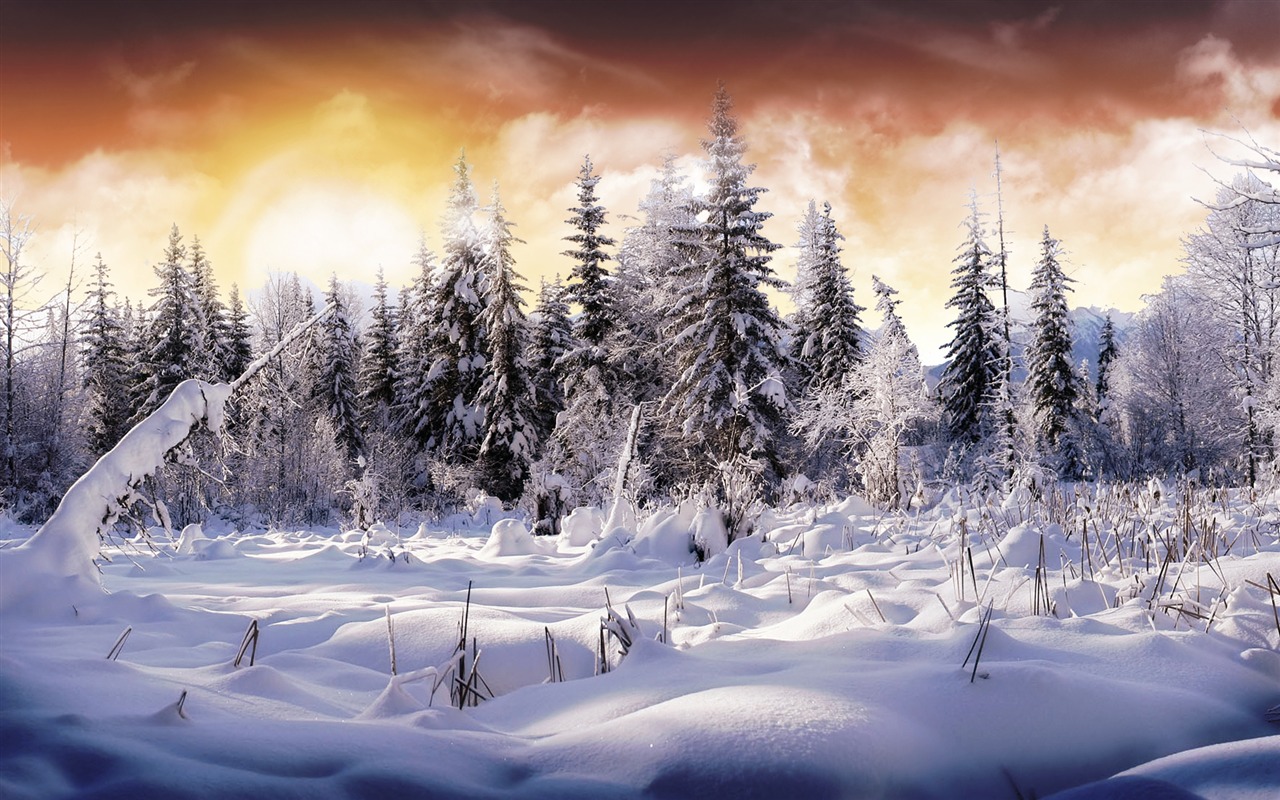 Tapety Krajina Kolekce (25) #12 - 1280x800