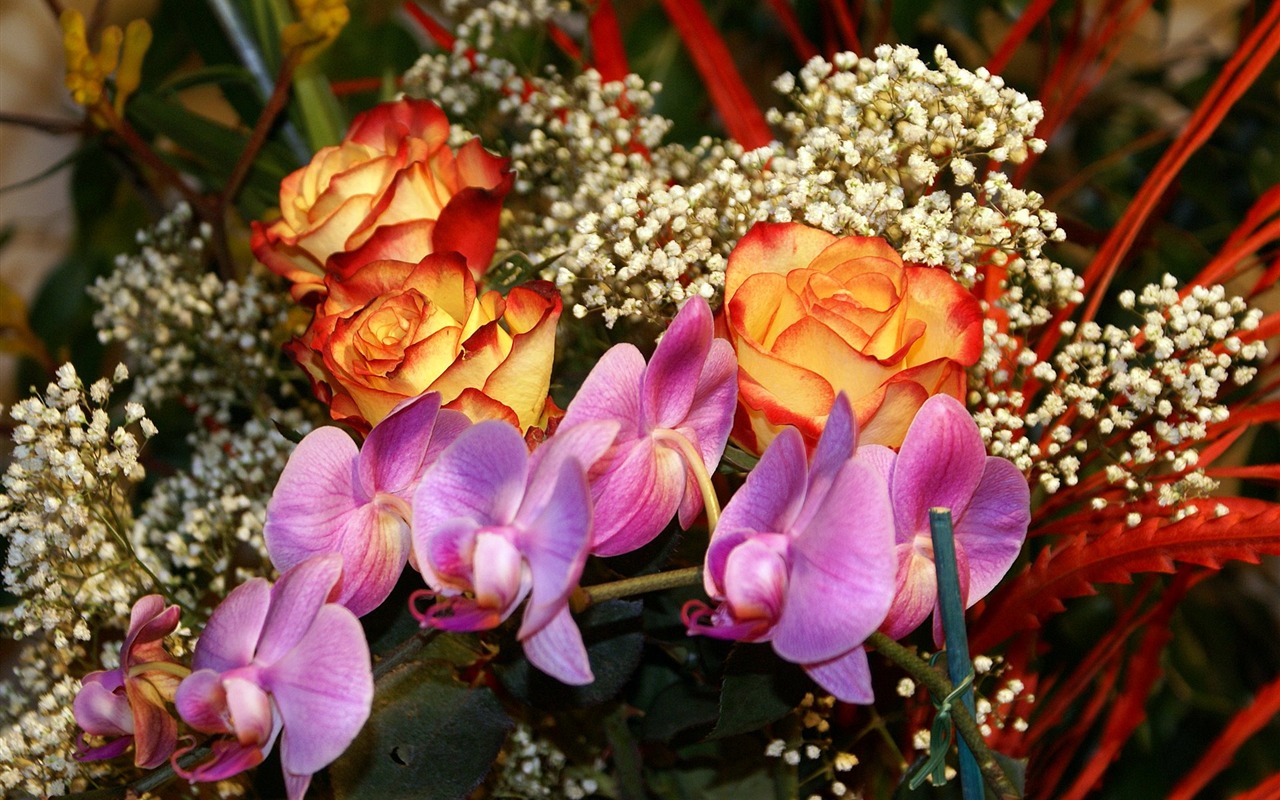 寬屏鮮花特寫 壁紙(18) #15 - 1280x800