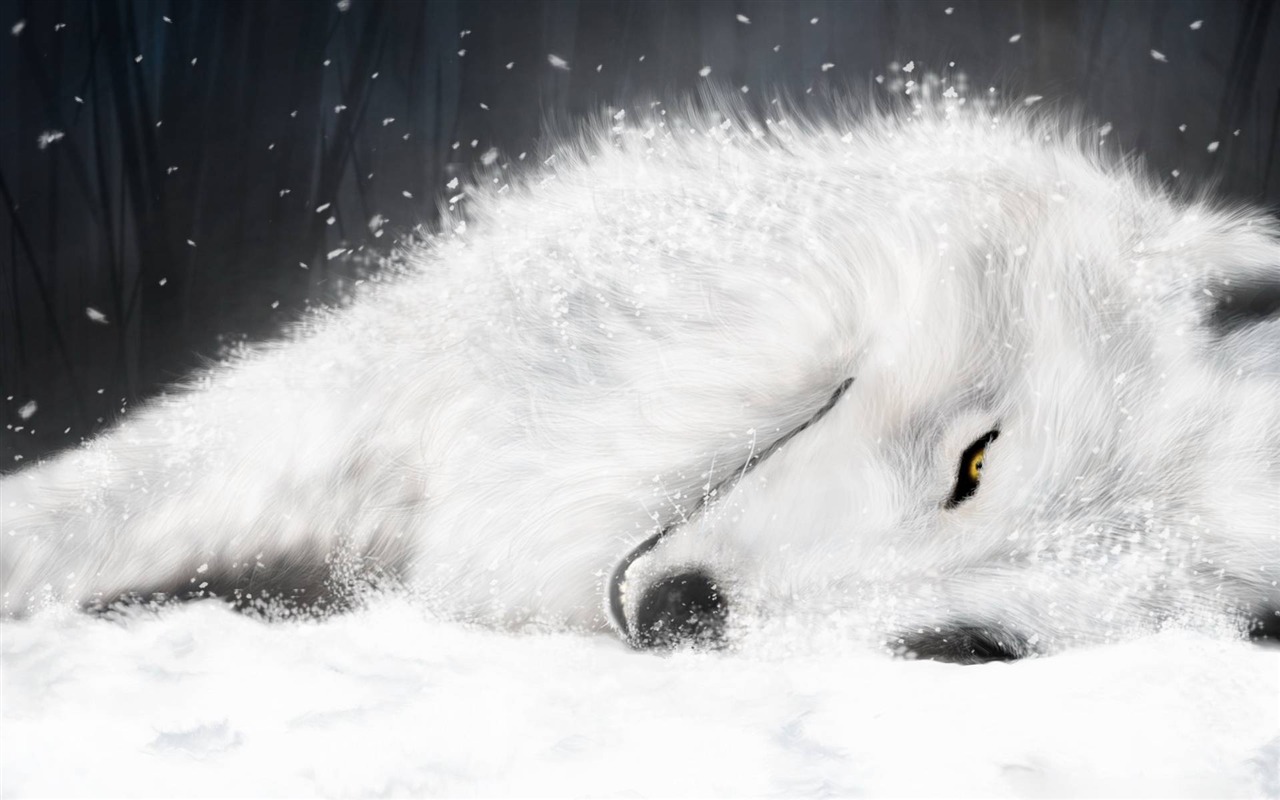 Animal Widescreen Wallpapers Collection (16) #3 - 1280x800