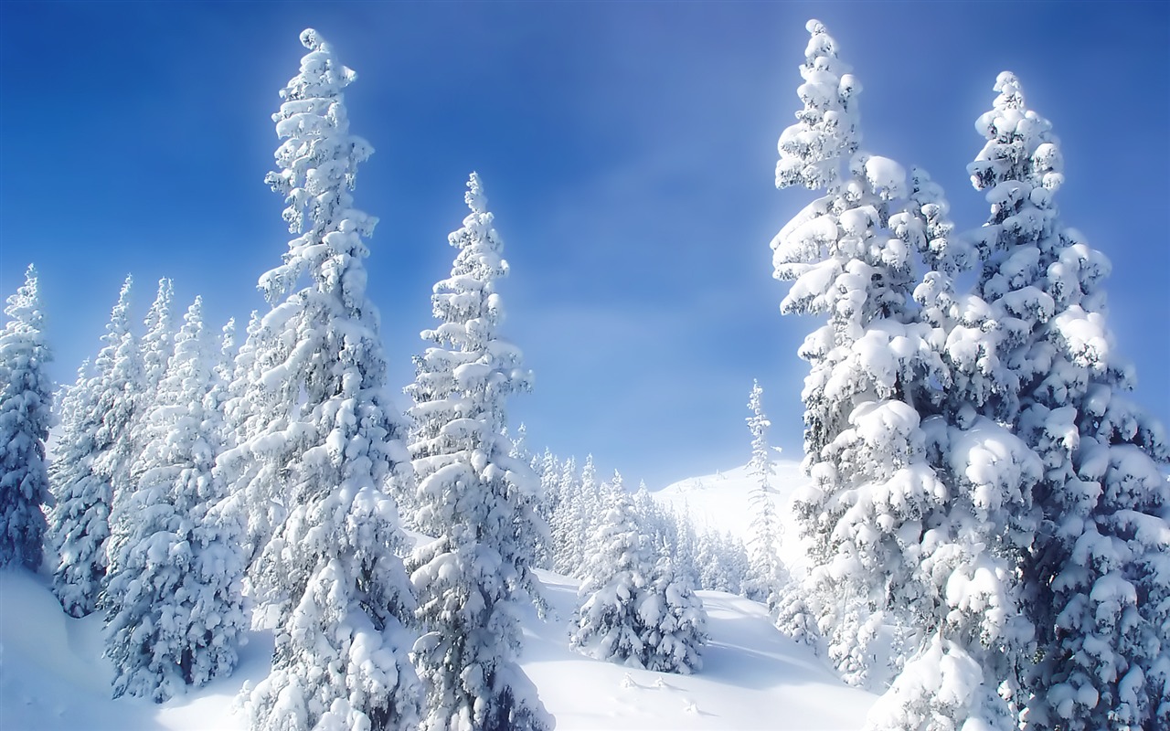 Scenery Collection Wallpapers (30) #19 - 1280x800