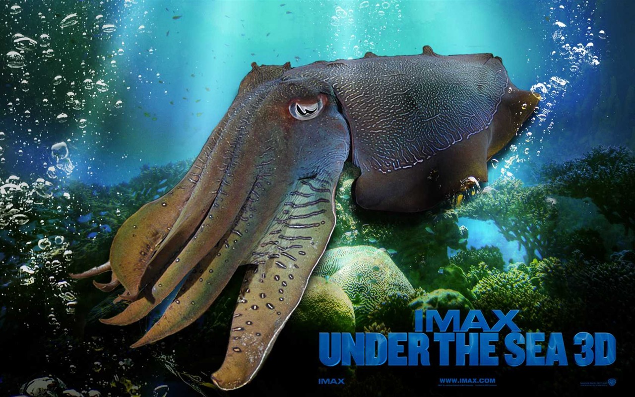 Under the Sea 3D 海底世界3D 高清壁紙 #47 - 1280x800