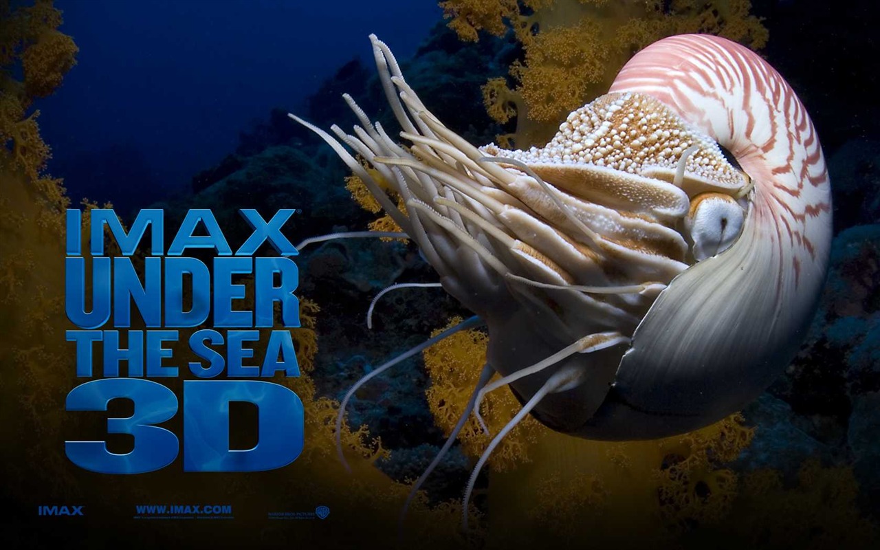 Under the Sea 3D 海底世界3D 高清壁紙 #49 - 1280x800