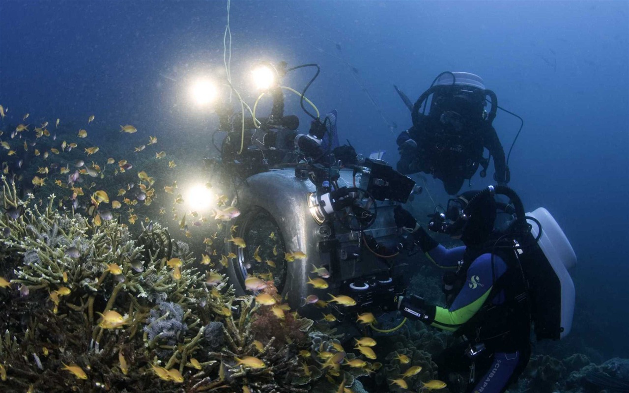 Under the Sea 3D 海底世界3D 高清壁紙 #12 - 1280x800