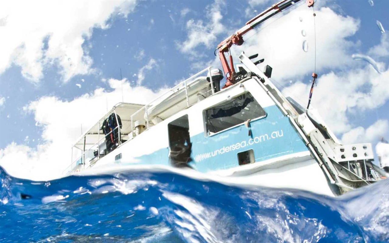 Under the Sea 3D 海底世界3D 高清壁紙 #27 - 1280x800